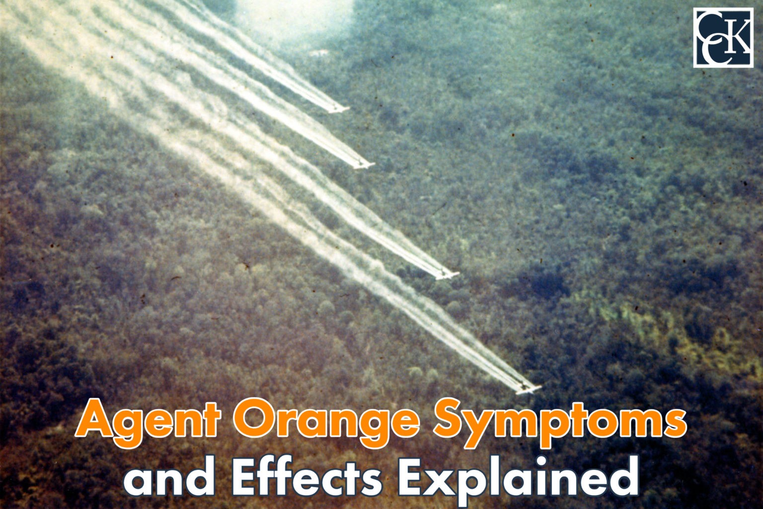 Agent Orange in Thailand During the Vietnam War | CCK Law