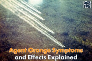 Agent Orange Symptoms and Effects Explained
