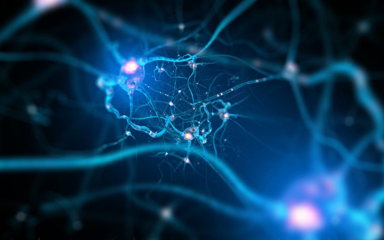 Neurons and nervous system showing nerve damage