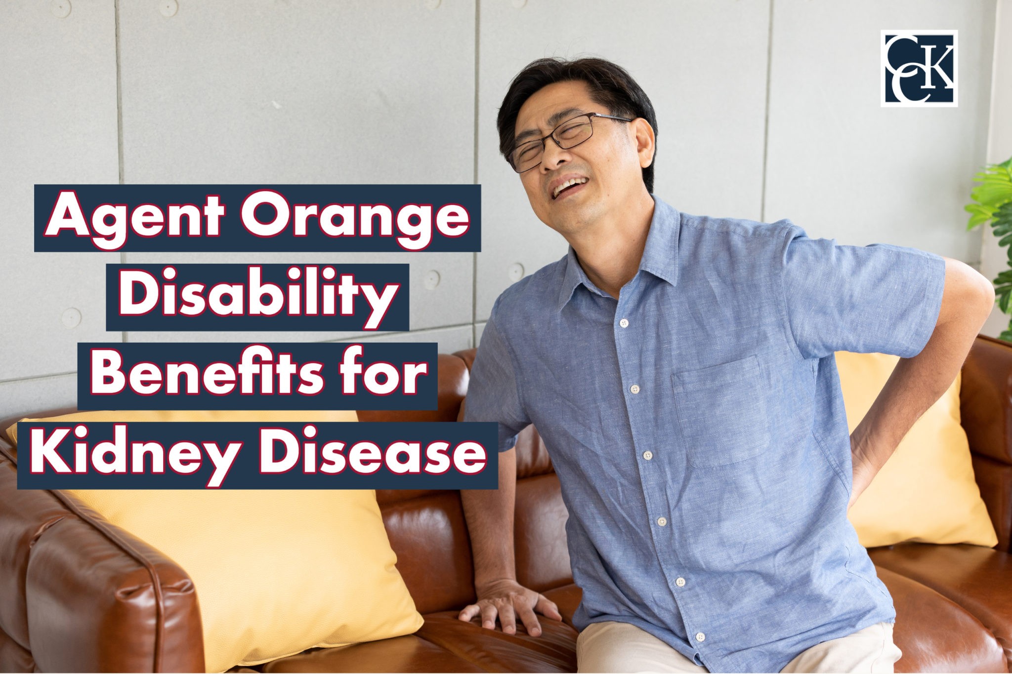 Agent Orange Disability Benefits for Kidney Disease CCK Law